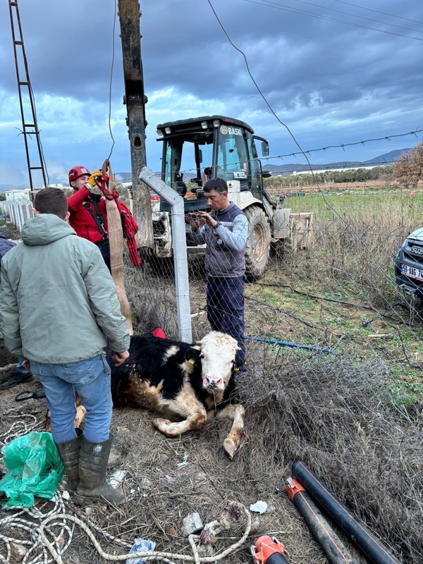 Balıkesir’de 10 metrelik kuyudan bir hayvana ait sesler geliyordu... Ekipler 10 metrelik kuyudan aşağıya bakınca onu gördü - Resim: 4