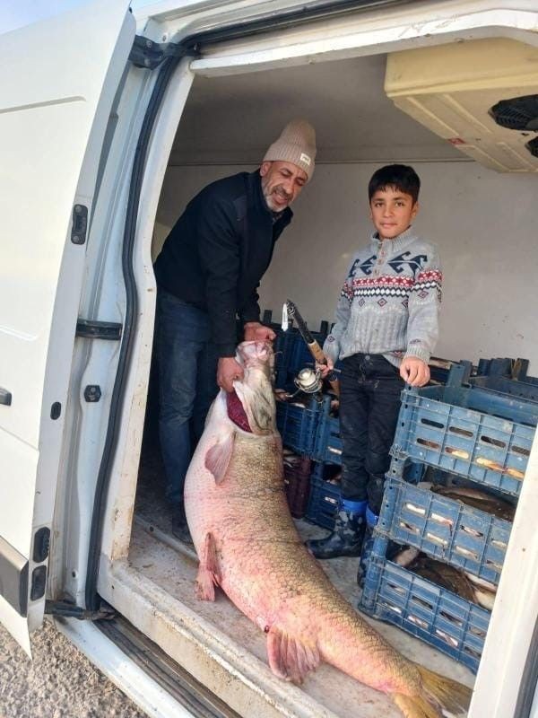 Elazığ'da av yasağı gelmeden son anda yakaladı. Bir gün önce 60 kilogram yakalanan yerde buldu. Bu kez tam 72 kilogram ağırlığında - Resim: 2