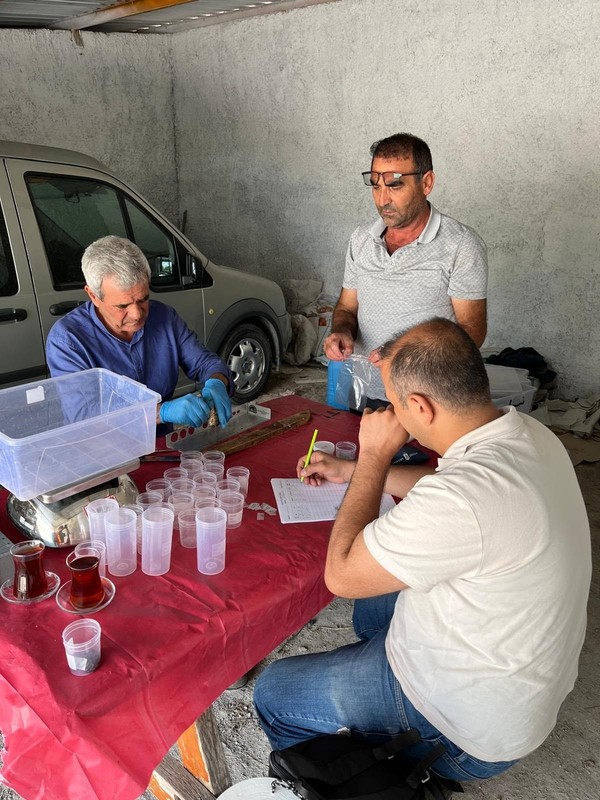 Sakarya, Bolu, Ankara, Eskişehir, Bursa, Kütahya'da 5 bin 376 tanesi yakalandı! 10 hayvandan 4'ü böyle çıktı! Türkiye'deki korkunç istila Eskişehir'de başladı - Resim: 3