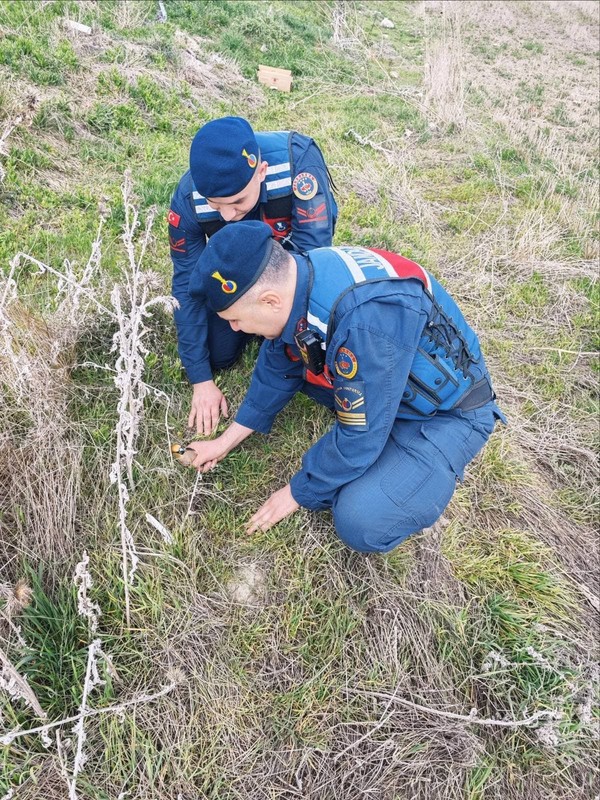 Yozgat'ta jandarma ekipleri doğada gezdikleri sırada 1 tanesini çalılıkların arasında can çekişirken gördü. Acilen yardım eli uzattılar - Resim: 1