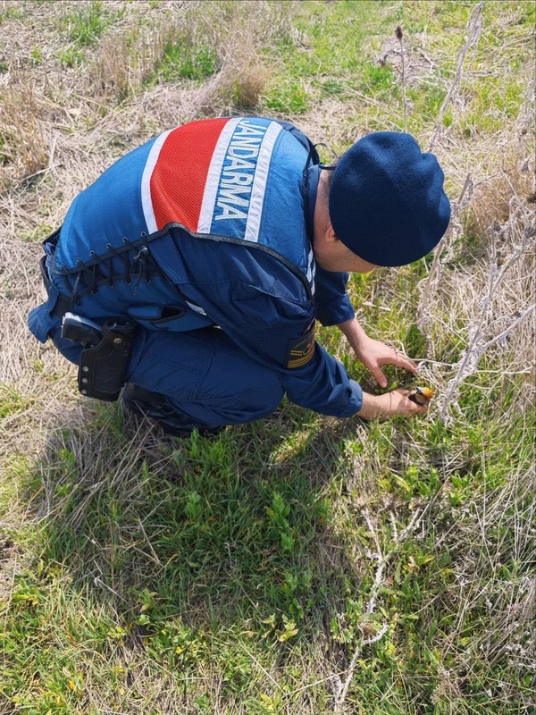 Yozgat'ta jandarma ekipleri doğada gezdikleri sırada 1 tanesini çalılıkların arasında can çekişirken gördü. Acilen yardım eli uzattılar - Resim: 2