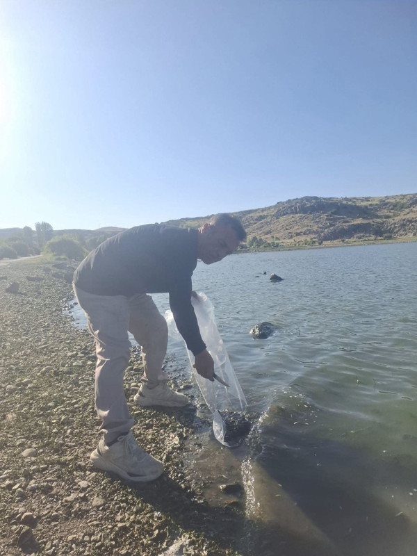 Afyonkarahisar'da 85.000 tanesi özel koruma içerisinde el değmeden getirildikten sonra doğaya salındı - Resim: 2