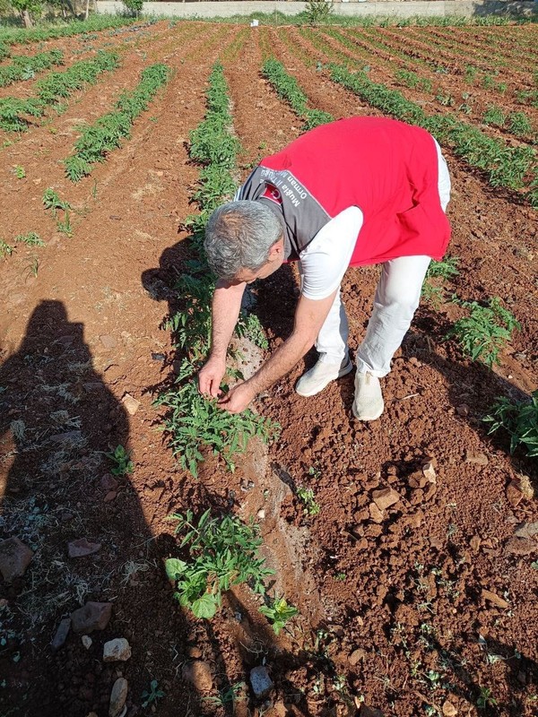 Muğla'nın çiftçilerine tarımsal destek ziyareti yapıldı - Resim: 1