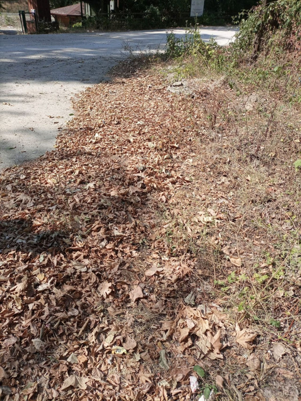 Karabük’te Şeker Kanyonu’nun girişindeki çevre kirliliği ekipler tarafından giderildi - Resim: 3
