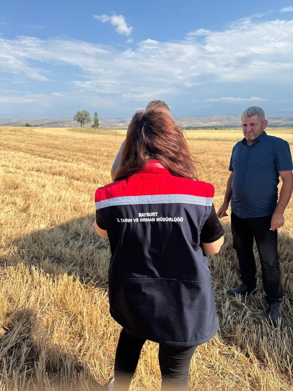 Bayburt’un Aydıntepe ilçesinde hasat sezonu başladı, biçerdöverler denetlendi - Resim: 1