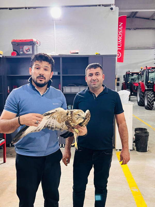 Konya’da bir tarım arazisinde güçsüz halde bulundu, vatandaş hemen harekete geçti - Resim: 1