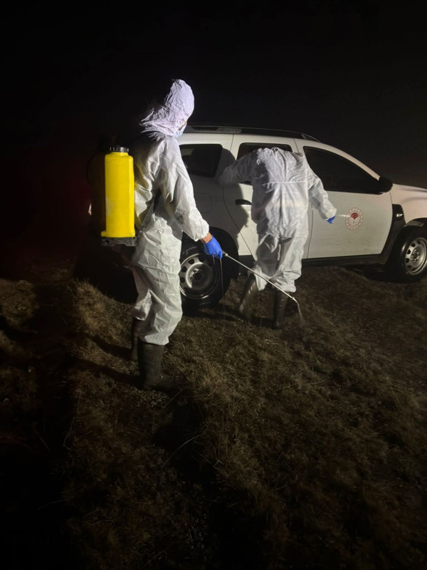 Gümüşhane'de korkutan hastalık yayılıyor! 5 köy karantina altına alındı - Resim: 1