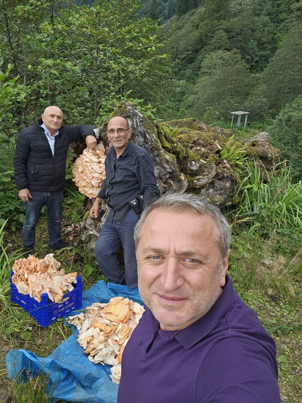 Rize'de eylül yağmurlarıyla beslendi ağacın gövdesinde kilolarca yetişti! O doğa mucizesi 3 arkadaşın karşına çıktı - Resim: 2
