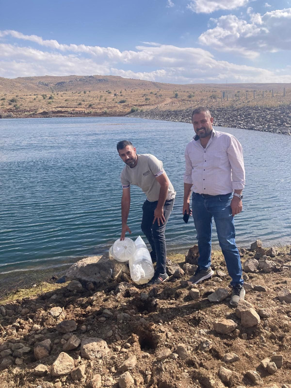 Elazığ'da balıklar suyla buluştu! Hepsi aynı anda etrafa dağıldı - Resim: 2