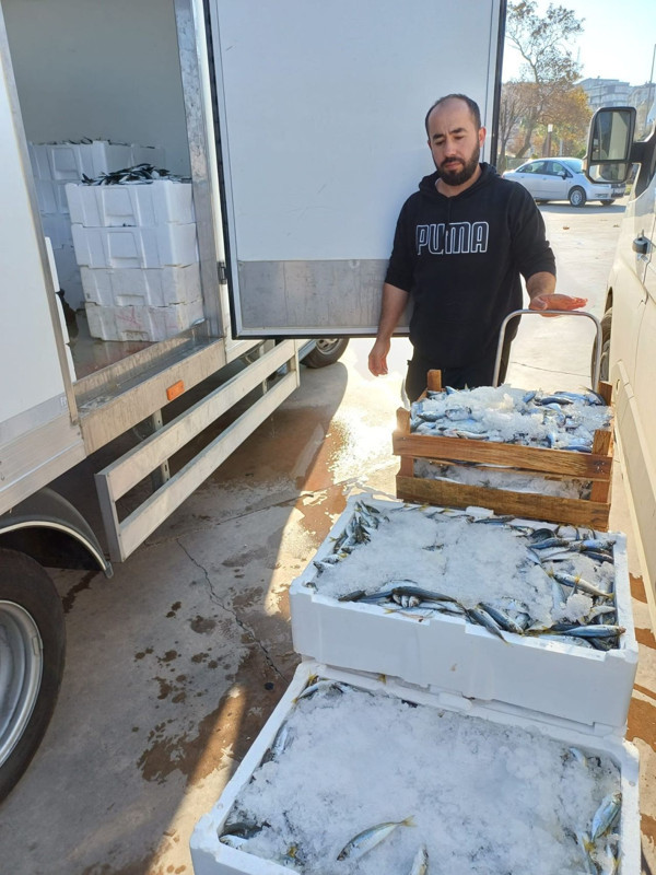 Düzce'de balıkçılara sıkı denetim! Boy sınırının altında kalanlara ceza kesildi - Resim: 1