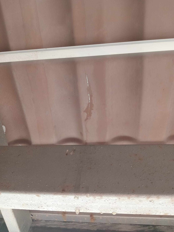 Edirne'de çok acı olay! 30 koyun telef oldu - Resim: 5