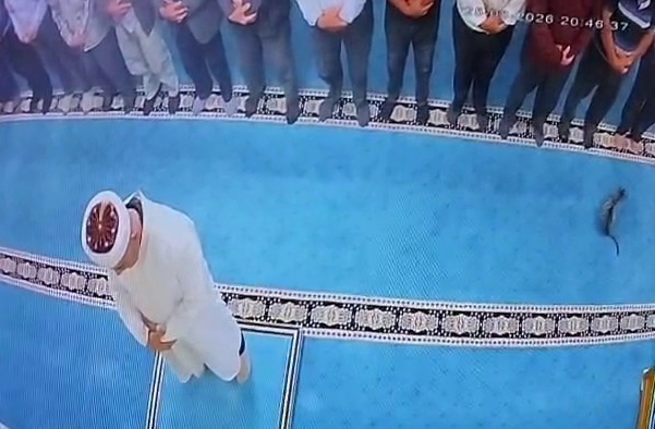 Namaz kılarken önüne gelen kediye tekme attı! Kedi uçtu, imamın kafasına düştü! O şahıs gözaltına alındı - Resim : 3
