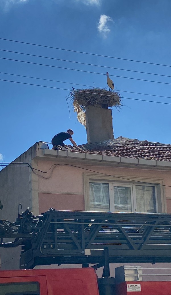 Tekirdağ'da iki katlı bir evin çatısında yaralı halde bulundu. İtfaiye ekiplerinin kurtardığı canlı, acil veterinere götürüldü - Resim : 1