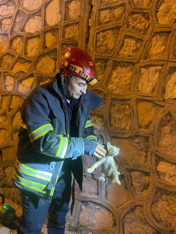 Hatay Antakya’da duvara sıkışan yavru kedi itfaiye ekiplerince kurtarıldı - Resim: 3