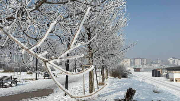 Sibirya soğuklarının esir aldığı Ağrı'da termometreler -16 dereceyi gösterdi. Kent buz kesti - Resim : 1