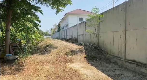 Balıkları patır patır ölen kadın, protesto amacıyla tüm iç çamaşırlarını evinin önündeki direğe astı - Resim : 2