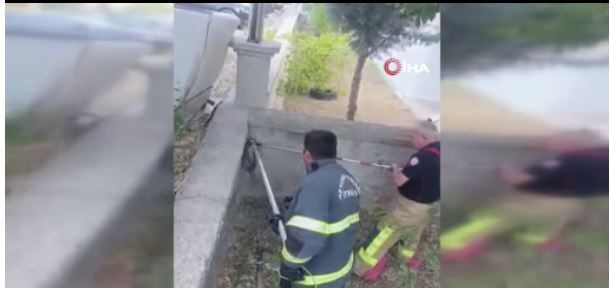 Afyonkarahisar'da evin bahçesinde çıktı! Tam 1,5 metre boyundaydı - Resim: 2