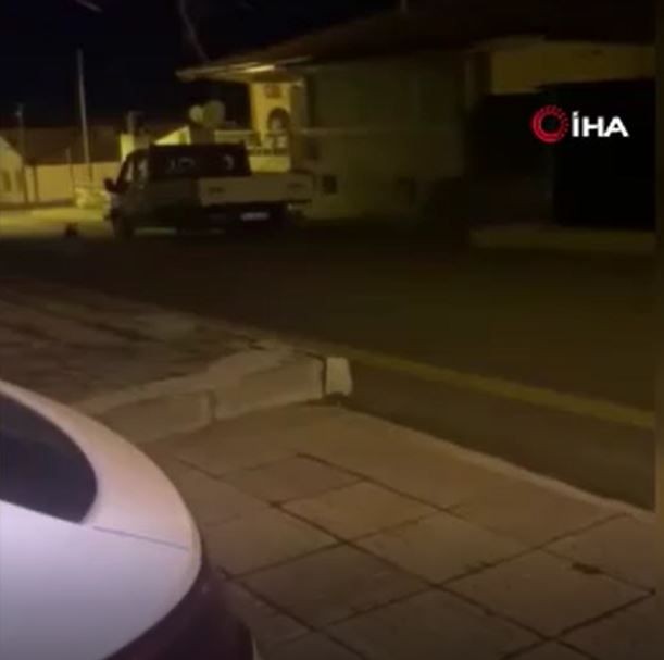 Ankara'nın Polatlı ve Elmadağ ilçelerinde bir anda ortaya çıktılar. Onları görenler büyük bir korku yaşadı - Resim: 1