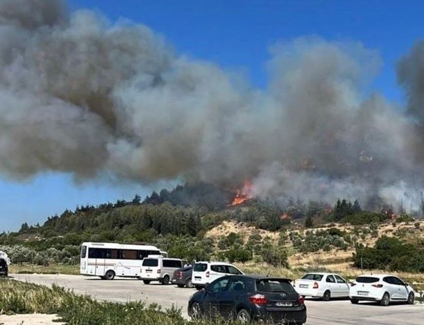 Antalya, Sakarya, İzmir, Bursa ve Kahramanmaraş'ta yangın! Rüzgarın etkisiyle yayıldı! - Resim : 3