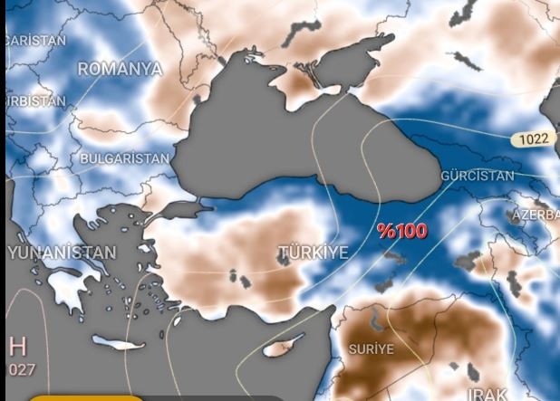 Türkiye'ye korkunç kahverengi uyarısı. Yüzde 51.52'imizi kapladı. O tarihte daha da kötü olacak - Resim : 1