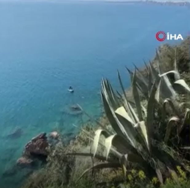 Antalya'da balıkçıların bile hiç görmediği bir hayvan korkunç şekilde ortaya çıktı. Gözüne kestirdiği rakibini paramparça etti - Resim: 4