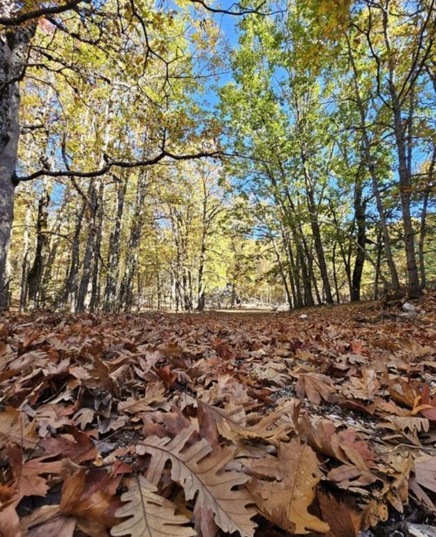 Türkiye'de buraya izinsiz sakın 1 adım bile atmayın! 557 bin 212 TL cezası var - Resim: 5