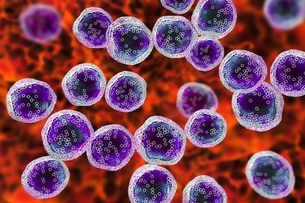 Kan kanseri tedavisinde yeni dönem - Resim: 1