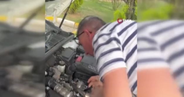 Karabük'te otomobilin motor kısmından bağırışlar geliyordu. Motoru açtıklarında karşılarında 1 tanesini gördüler - Resim: 3