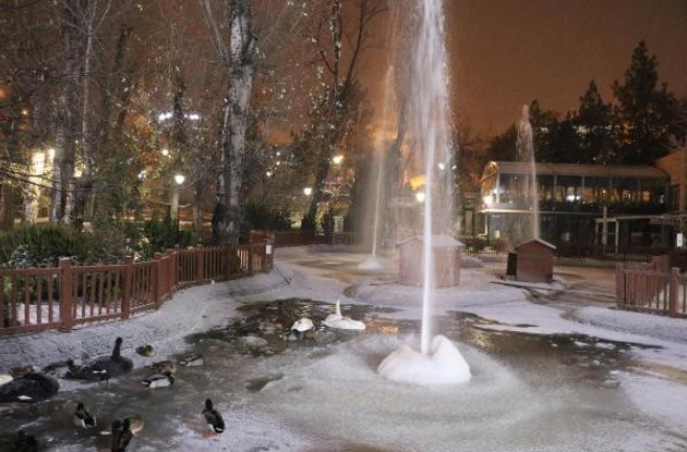 Ankara'da Kuğulu Park'taki havuz kuğular üzerindeyken dondu - Resim : 2