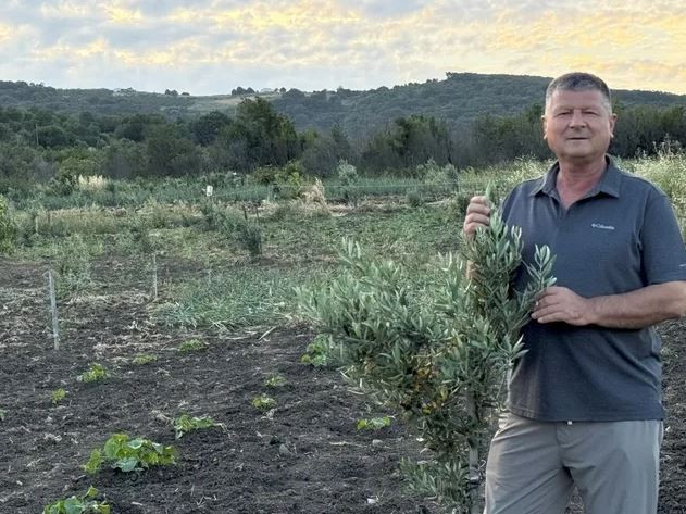 Muhtarın girişimi köyün kaderini değiştirdi! Atıl araziyi aldılar, zeytin bahçesine çevirdiler - Resim : 1