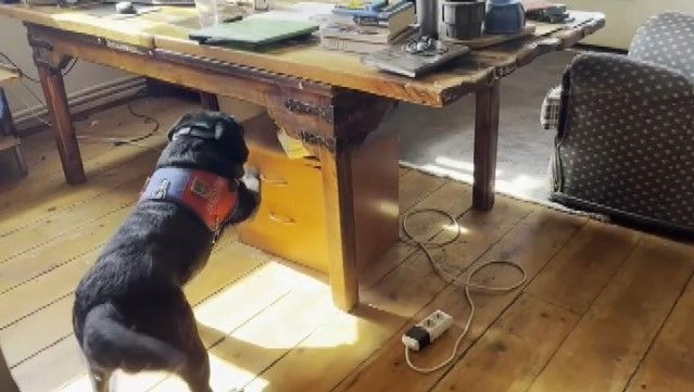 Ünlü isme gözaltı: Evinden bakın ne çıktı! Basına çattı: Niye çekiyorlar? Ekipler bile gördüklerine inanamadı - Resim: 12