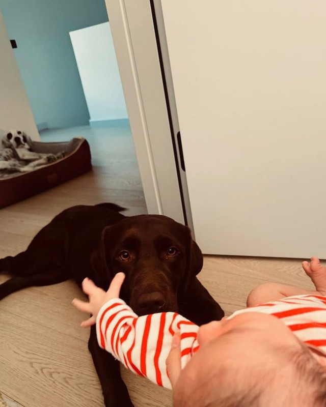 Pınar Deniz'den dikkat çeken hamle! Evlendikten 6 ay sonra değiştirdi - Resim: 3