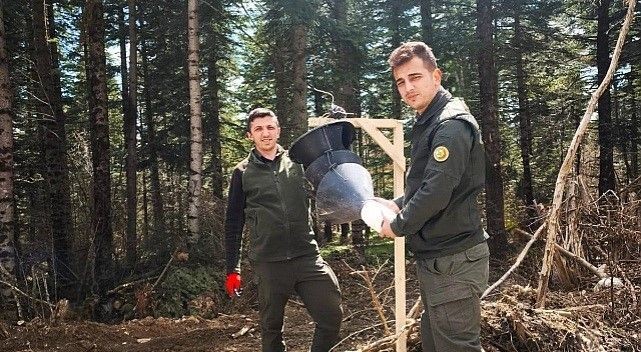 Doğanın zararlı hayvanına karşı mücadele başladı. Gördükleri yerde yok ediyorlar - Resim: 1