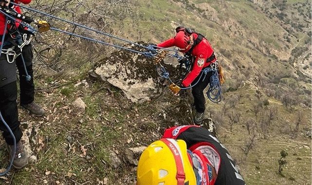 Manisa'da dağlık alanda 1  tane  keçiyi gören vatandaşlar bir daha keçiye doğru bakınca gözlerine inanamadı. Bölgeye acilen ekipler davet edildi - Resim: 5