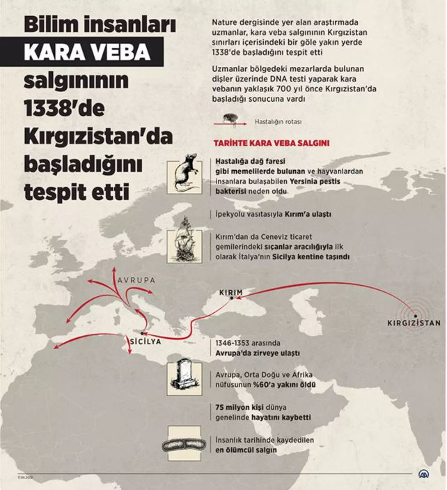 Görmediğimiz bir bu kalmıştı! İnsanlık tarihinin en ölümcül hastalığı! Veba geri döndü! - Resim : 4