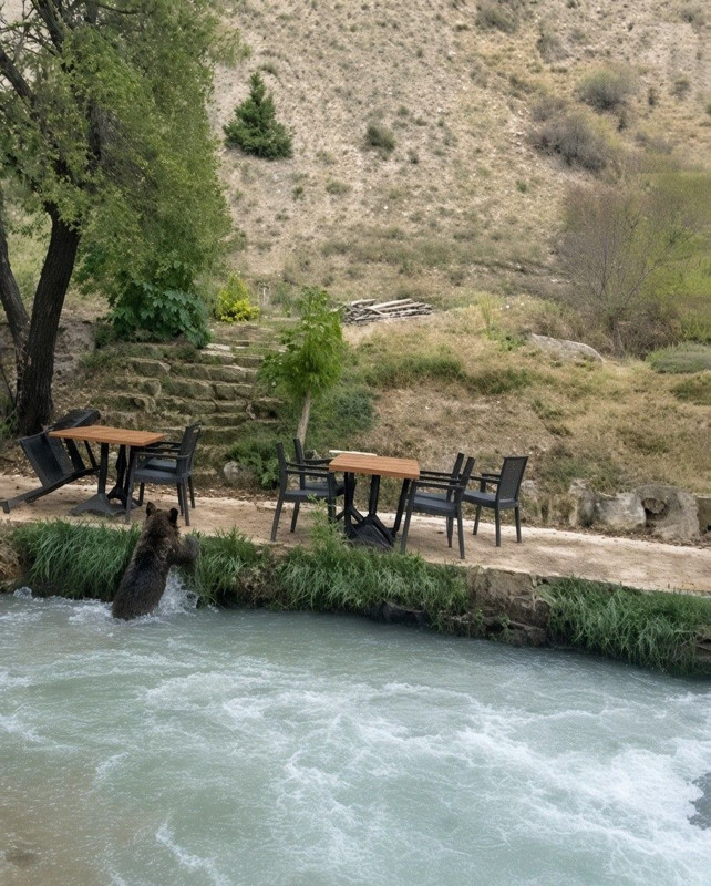 Erzincan'da çalılıklardan fırladı! Bir anda karşısında insanları görünce panikledi - Resim: 2