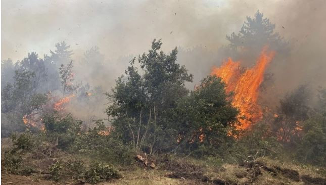Yüreğimiz yandı! Eskişehir'deki orman yangınında 10 şehit - Resim : 1