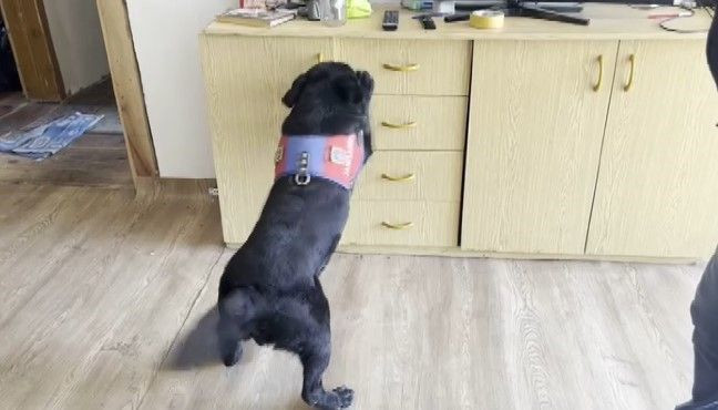 Ünlü isme gözaltı: Evinden bakın ne çıktı! Basına çattı: Niye çekiyorlar? Ekipler bile gördüklerine inanamadı - Resim: 7
