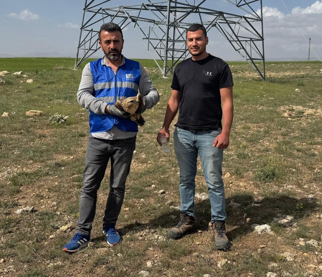 Niğde'de Enerji iletim hattında görevli hat bakım şefi Cengiz Koç çalışma sırasında o hayvanı gördü. 1 adım atacak hali yoktu - Resim: 1