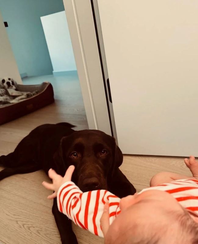 Pınar Deniz'den eğlenceli paylaşım! Kaan Yıldırım ile minik oğlu Fikret Hakan'dan yeni poz - Resim: 4