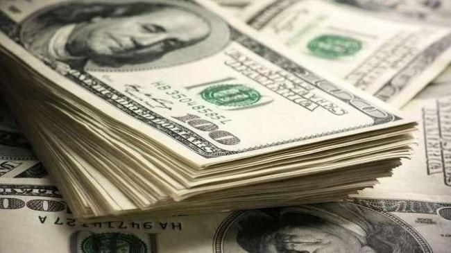 Doların 2022 yılında geleceği seviye açıklandı - Resim: 4