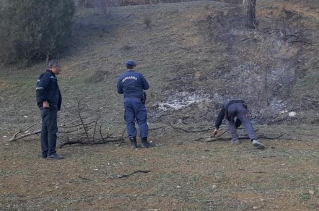 Bolu'da 100'lerce koyununu otlatan çoban, orman içerisinde felaket bir detay fark etti. Acilen koyunları bırakıp üzerine doğru gitti - Resim: 3