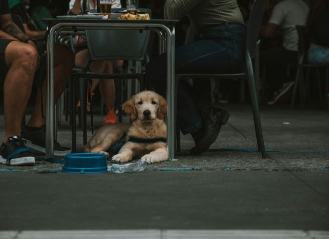 Restoran ve kafelerde yeni dönem! Taslak hazırlandı! O uygulama tüm restoranlarda zorunlu olacak - Resim : 2