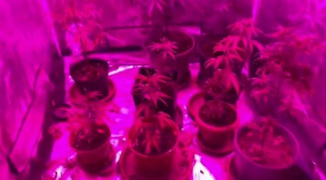 Ünlü isme gözaltı: Evinden bakın ne çıktı! Basına çattı: Niye çekiyorlar? Ekipler bile gördüklerine inanamadı - Resim: 8