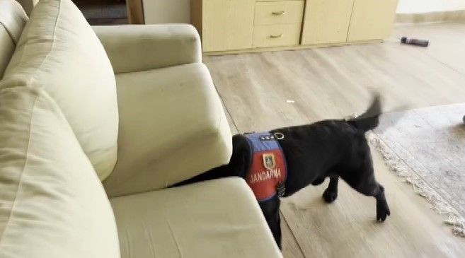 Ünlü isme gözaltı: Evinden bakın ne çıktı! Basına çattı: Niye çekiyorlar? Ekipler bile gördüklerine inanamadı - Resim: 9
