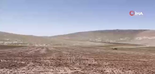 Şanlıurfa’dan Türkiye'ye resmen felaket haberi... Tarlasına giden bir vatandaş 15 santimetre detayını fark edince neye uğradığını şaşırdı! 2-3 hayvan vardı - Resim: 5
