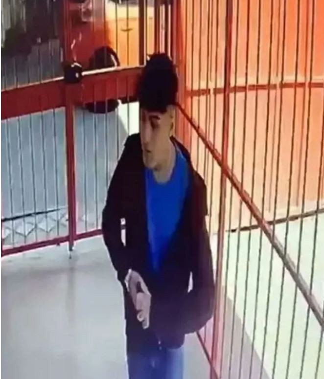 Okul saldırılarında korkutan artış! B&uuml;y&uuml;k b&ouml;l&uuml;m&uuml; aynı okulun &ouml;ğrencisi! Saldırganlar &ouml;nceden ipu&ccedil;ları veriyor - Resim : 4