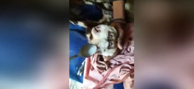 Çiftlikte 100'lerce keçisine bakmak için ahıra giren çiftçi bir anda karşısında onu fark etti. 1,2,3,4 tanesiyle ona doğru baktığını fark edince yanına yaklaştı - Resim: 2