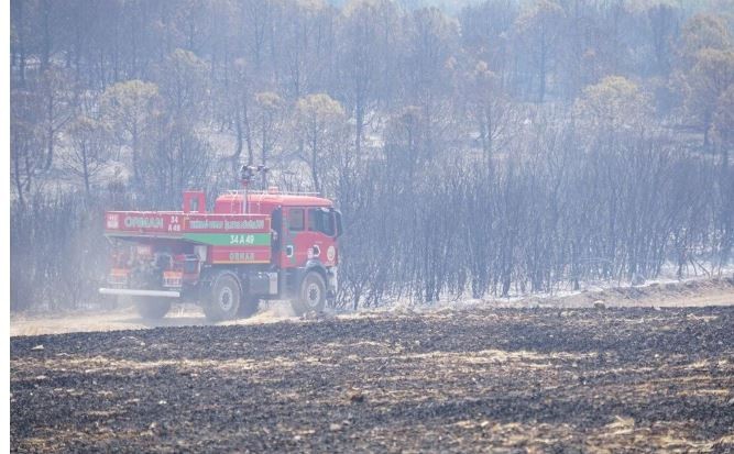 Bilecik, Bursa, İzmir, Antalya, Tekirdağ, Sakarya ve Kahramanmaraş'ta orman yangını! - Resim : 6