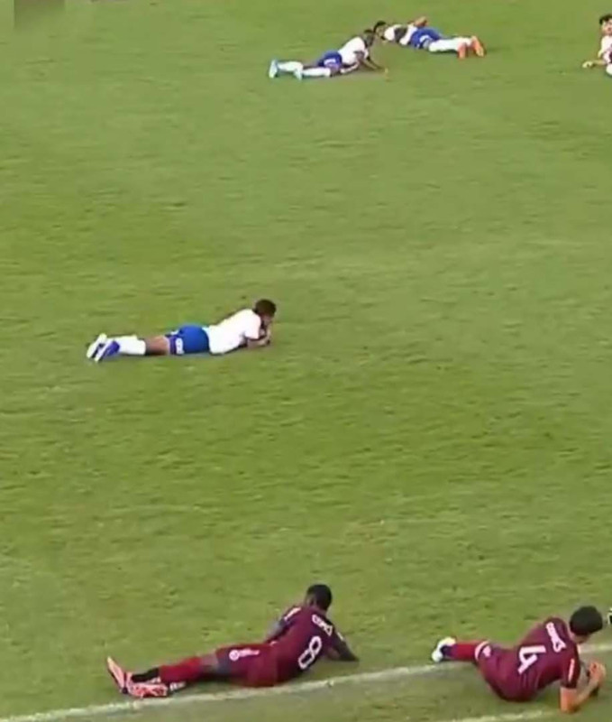 Final maçında akılalmaz anlar! Sahayı arılar bastı, maç yarıda kaldı! Futbolcular ne yapacağını şaşırdı - Resim: 5